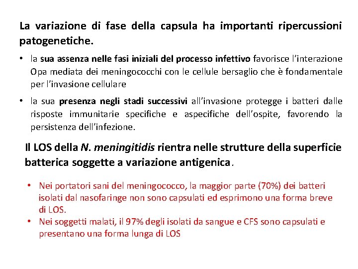 La variazione di fase della capsula ha importanti ripercussioni patogenetiche. • la sua assenza