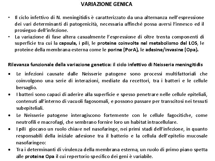VARIAZIONE GENICA • Il ciclo infettivo di N. meningitidis è caratterizzato da una alternanza