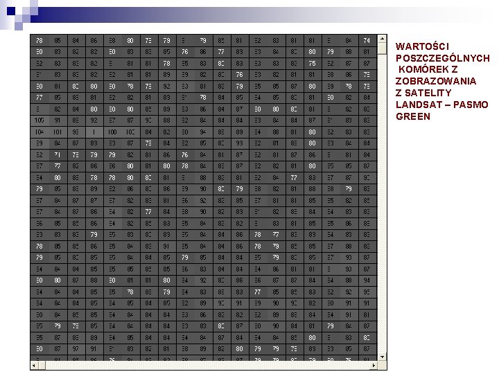 WARTOŚCI POSZCZEGÓLNYCH KOMÓREK Z ZOBRAZOWANIA Z SATELITY LANDSAT – PASMO GREEN 