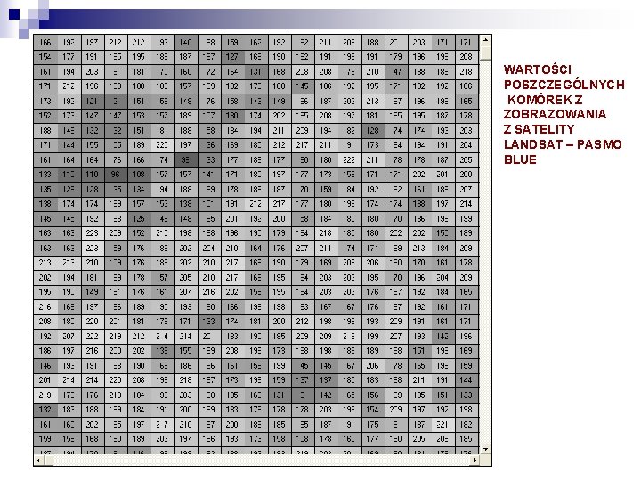 WARTOŚCI POSZCZEGÓLNYCH KOMÓREK Z ZOBRAZOWANIA Z SATELITY LANDSAT – PASMO BLUE 