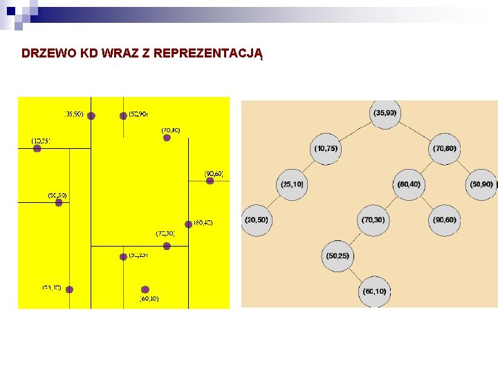 DRZEWO KD WRAZ Z REPREZENTACJĄ 