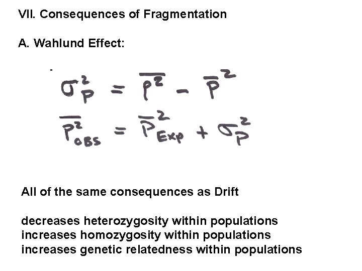 VII. Consequences of Fragmentation A. Wahlund Effect: All of the same consequences as Drift