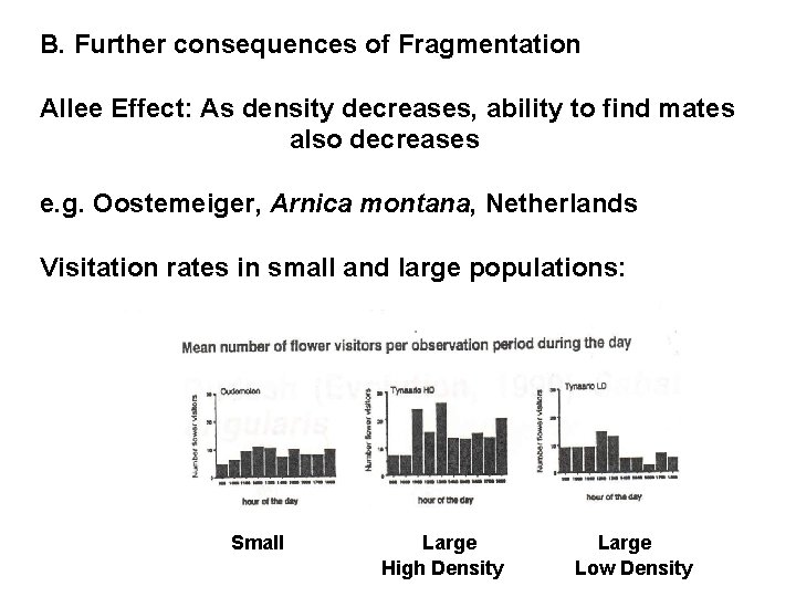 B. Further consequences of Fragmentation Allee Effect: As density decreases, ability to find mates