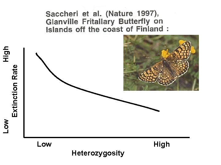 Low High Heterozygosity Low Extinction Rate High 