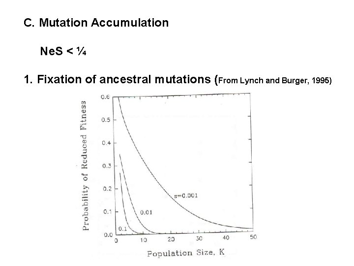 C. Mutation Accumulation Ne. S < ¼ 1. Fixation of ancestral mutations (From Lynch