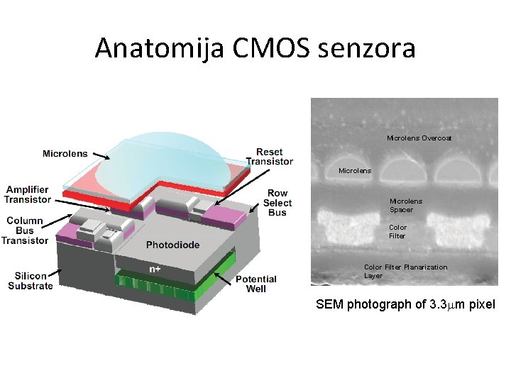 Anatomija CMOS senzora Microlens Overcoat Microlens Spacer Color Filter Planarization Layer SEM photograph of