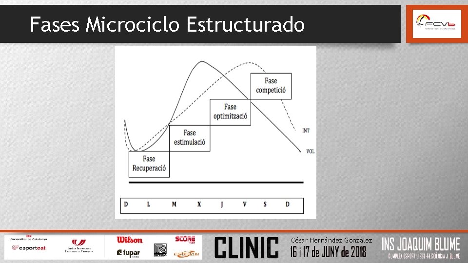 Fases Microciclo Estructurado César Hernández González 