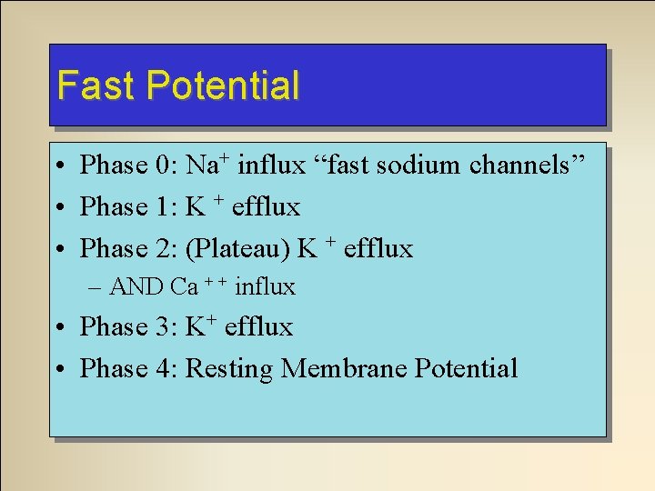 Fast Potential • Phase 0: Na+ influx “fast sodium channels” • Phase 1: K