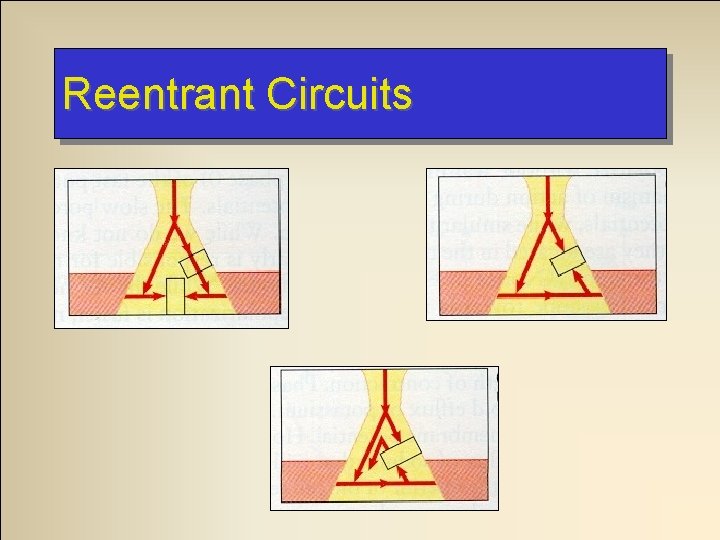 Reentrant Circuits 