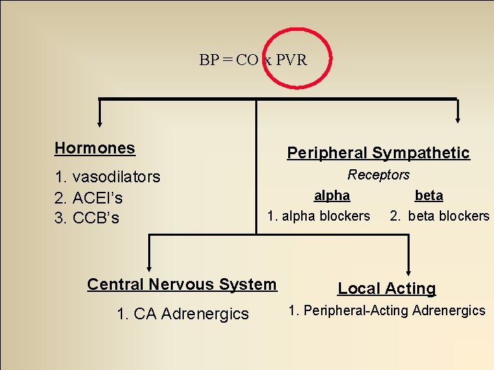BP = CO x PVR Hormones 1. vasodilators 2. ACEI’s 3. CCB’s Peripheral Sympathetic
