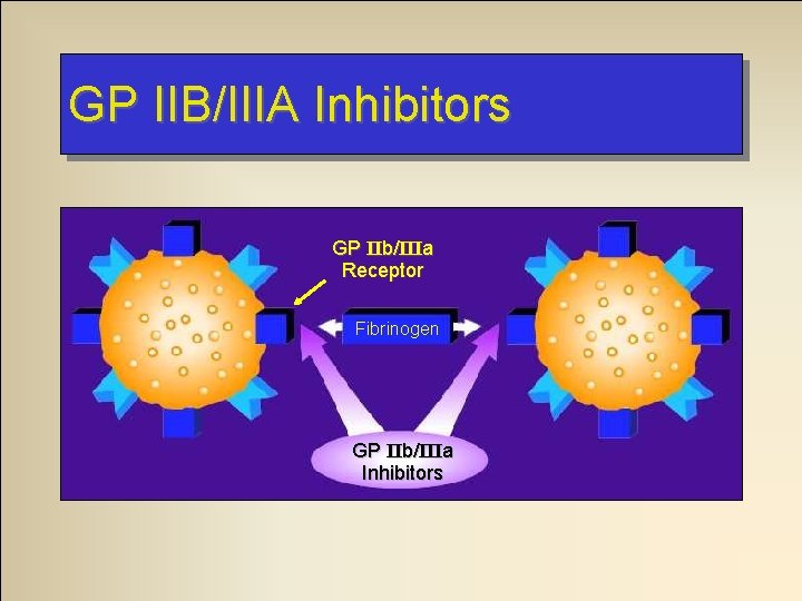 GP IIB/IIIA Inhibitors GP IIb/IIIa Receptor Fibrinogen GP IIb/IIIa Inhibitors 