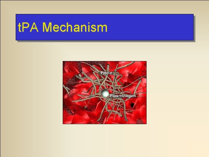 t. PA Mechanism 
