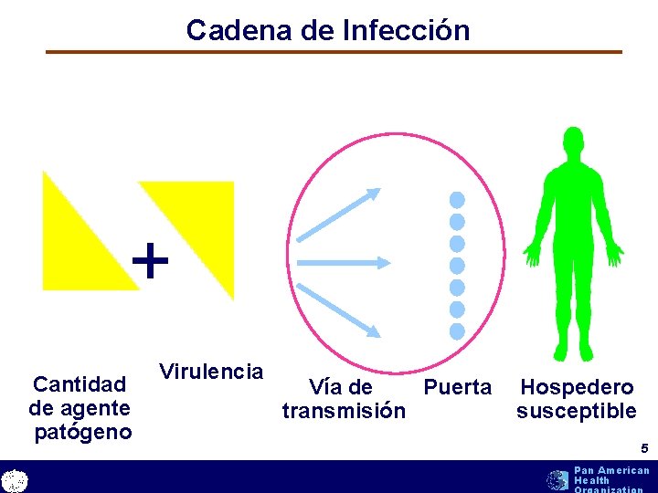 Cadena de Infección + text Cantidad de agente patógeno Virulencia Vía de Puerta transmisión Cadena de Infección + text Cantidad de agente patógeno Virulencia Vía de Puerta transmisión