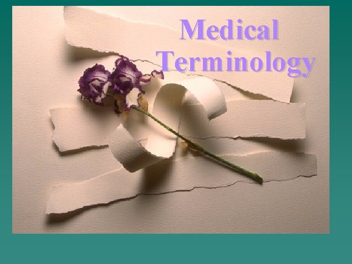 Medical Terminology NURS 1103 or HLSC 2613 
