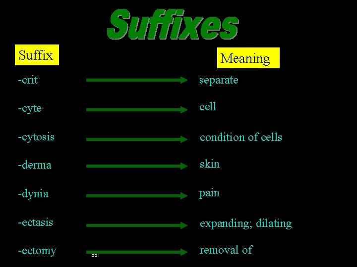 Suffixes (crit–ectomy) Suffix Meaning -crit separate -cyte cell -cytosis condition of cells -derma skin