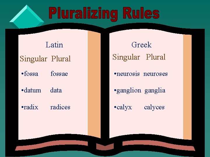 Latin Singular Plural Greek Singular Plural • fossae • neurosis neuroses • datum data