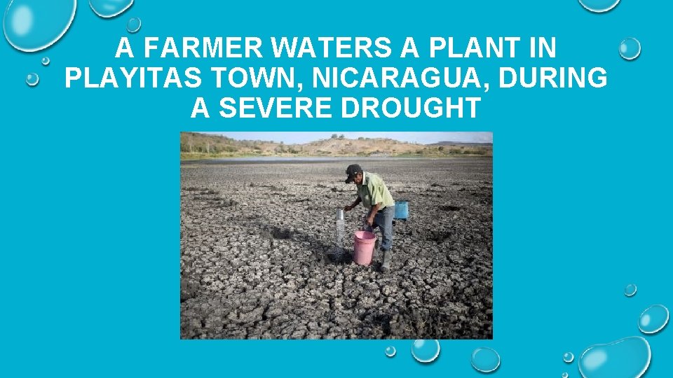 A FARMER WATERS A PLANT IN PLAYITAS TOWN, NICARAGUA, DURING A SEVERE DROUGHT 