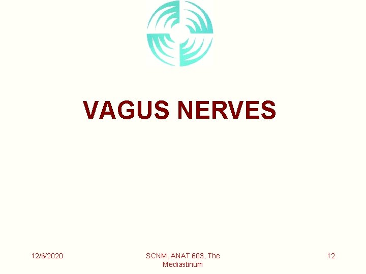VAGUS NERVES 12/6/2020 SCNM, ANAT 603, The Mediastinum 12 