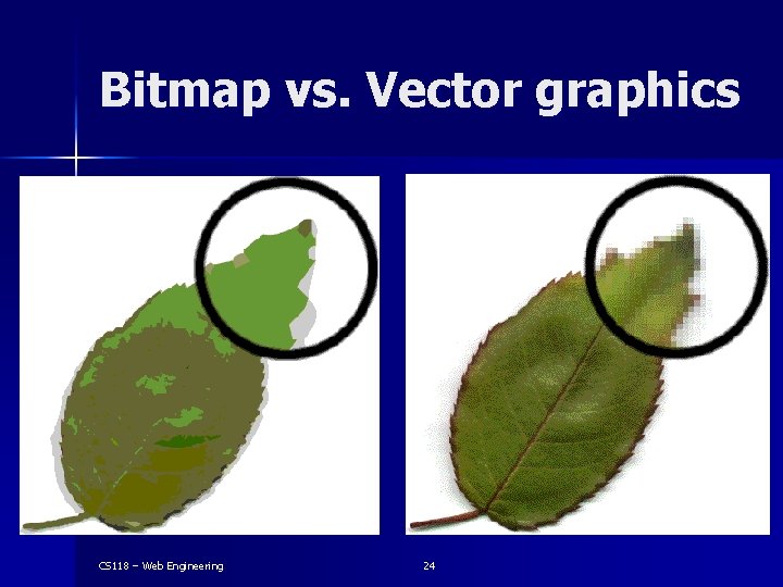 Bitmap vs. Vector graphics CS 118 – Web Engineering 24 