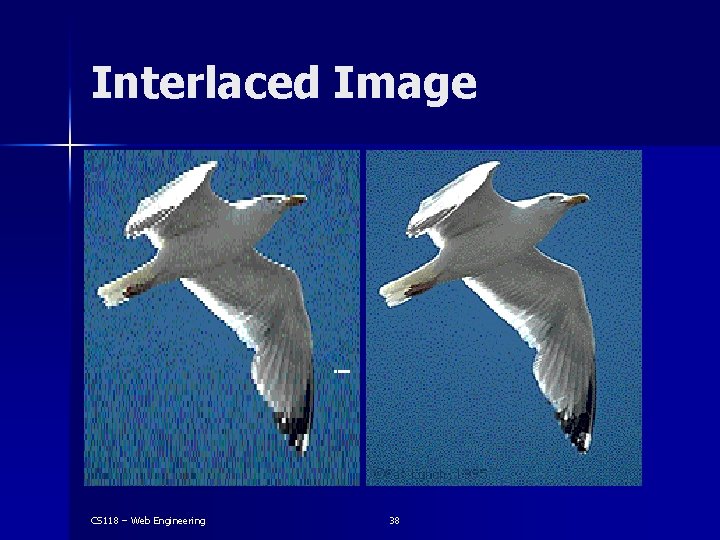 Interlaced Image CS 118 – Web Engineering 38 