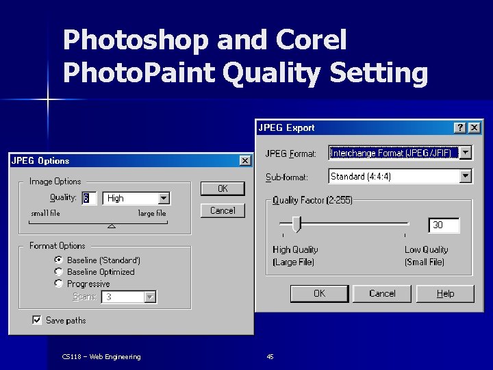 Photoshop and Corel Photo. Paint Quality Setting CS 118 – Web Engineering 45 