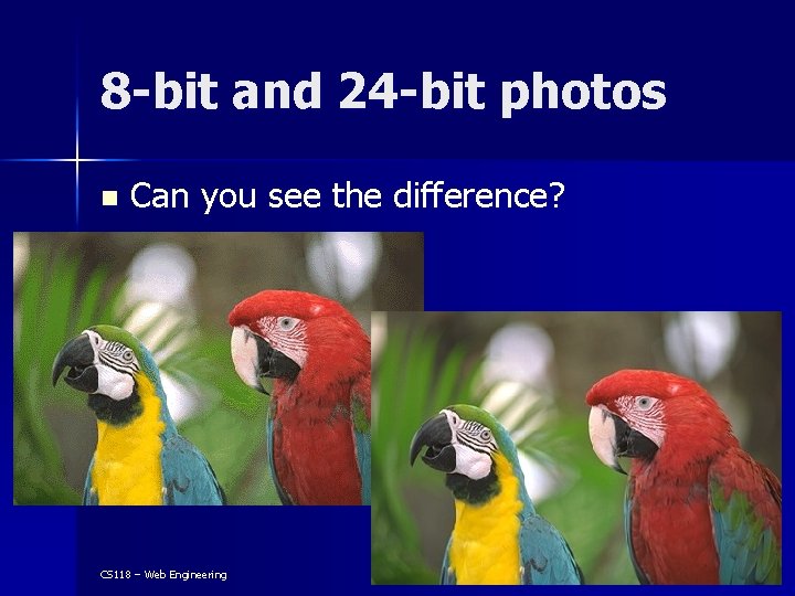 8 -bit and 24 -bit photos n Can you see the difference? CS 118