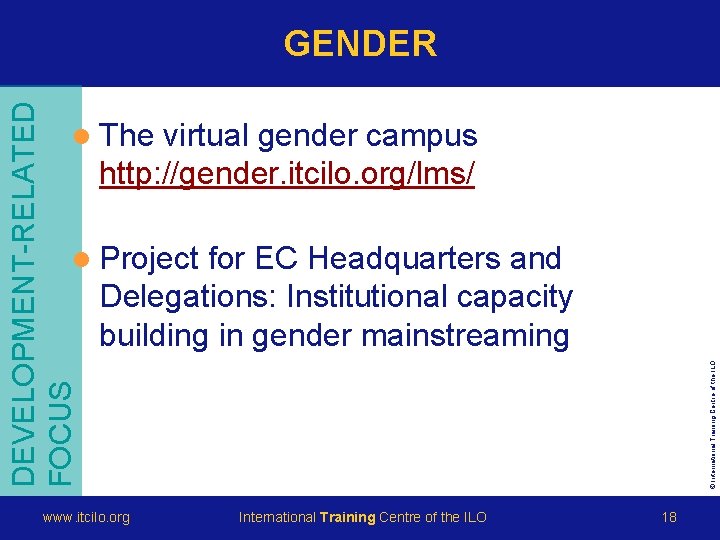 DEVELOPMENT-RELATED FOCUS GENDER l The virtual gender campus http: //gender. itcilo. org/lms/ for EC