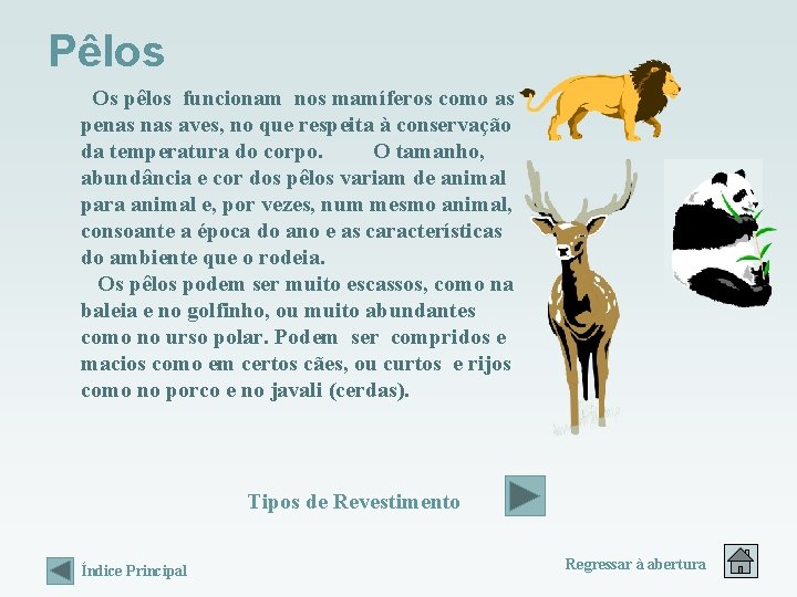 Pêlos Os pêlos funcionam nos mamíferos como as penas aves, no que respeita à Pêlos Os pêlos funcionam nos mamíferos como as penas aves, no que respeita à