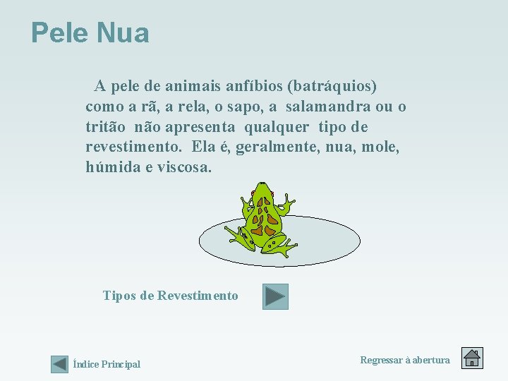 Pele Nua A pele de animais anfíbios (batráquios) como a rã, a rela, o Pele Nua A pele de animais anfíbios (batráquios) como a rã, a rela, o