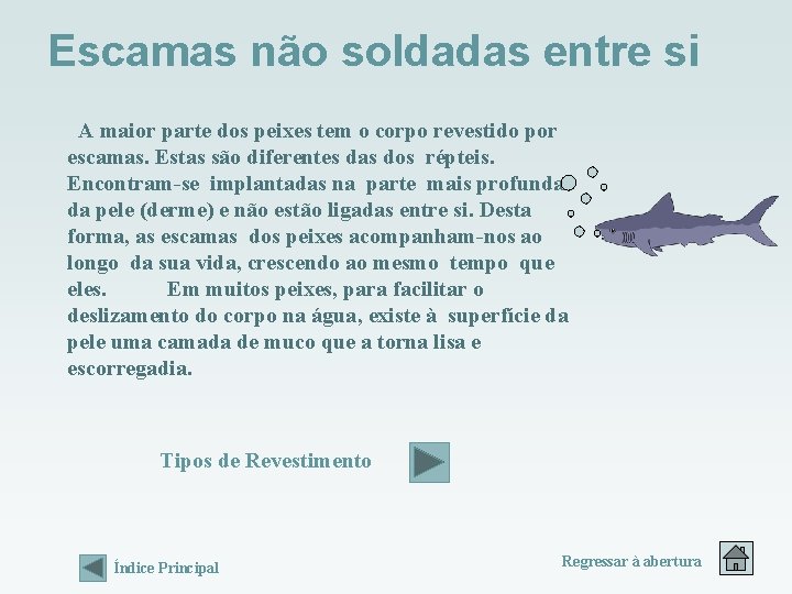 Escamas não soldadas entre si A maior parte dos peixes tem o corpo revestido Escamas não soldadas entre si A maior parte dos peixes tem o corpo revestido