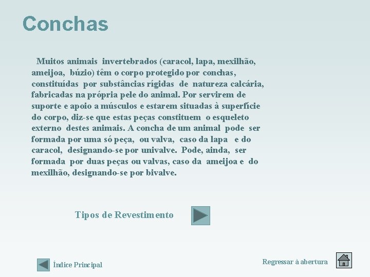 Conchas Muitos animais invertebrados (caracol, lapa, mexilhão, ameijoa, búzio) têm o corpo protegido por Conchas Muitos animais invertebrados (caracol, lapa, mexilhão, ameijoa, búzio) têm o corpo protegido por