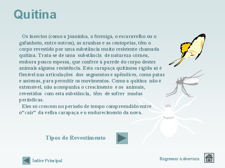 Quitina Os insectos (como a joaninha, a formiga, o escaravelho ou o gafanhoto, entre Quitina Os insectos (como a joaninha, a formiga, o escaravelho ou o gafanhoto, entre