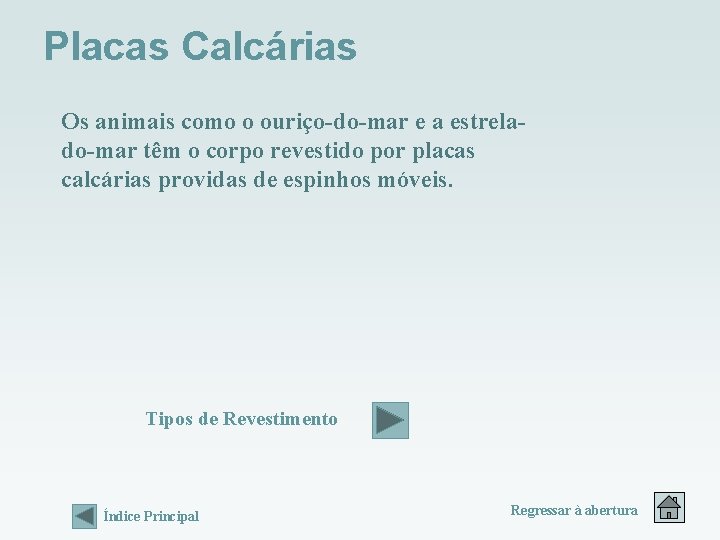 Placas Calcárias Os animais como o ouriço-do-mar e a estrelado-mar têm o corpo revestido Placas Calcárias Os animais como o ouriço-do-mar e a estrelado-mar têm o corpo revestido