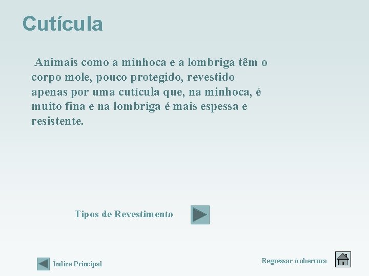 Cutícula Animais como a minhoca e a lombriga têm o corpo mole, pouco protegido, Cutícula Animais como a minhoca e a lombriga têm o corpo mole, pouco protegido,