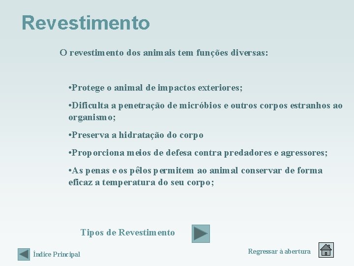 Revestimento O revestimento dos animais tem funções diversas: • Protege o animal de impactos Revestimento O revestimento dos animais tem funções diversas: • Protege o animal de impactos