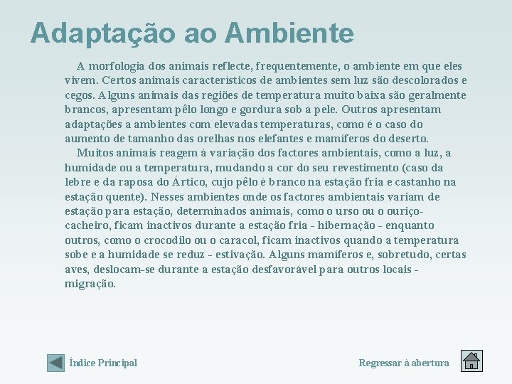 Adaptação ao Ambiente A morfologia dos animais reflecte, frequentemente, o ambiente em que eles Adaptação ao Ambiente A morfologia dos animais reflecte, frequentemente, o ambiente em que eles