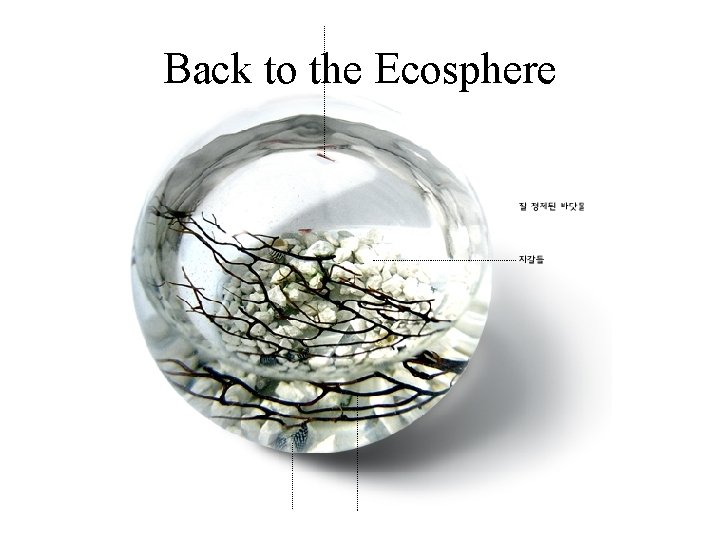 Back to the Ecosphere 
