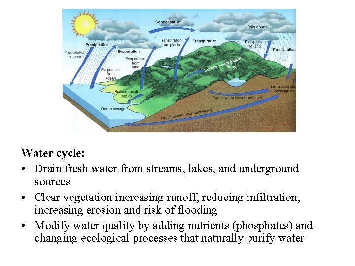 Water cycle: • Drain fresh water from streams, lakes, and underground sources • Clear