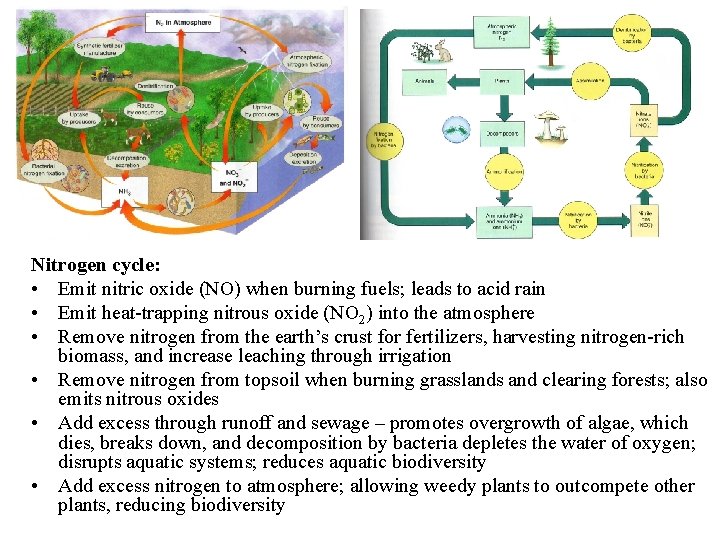 Nitrogen cycle: • Emit nitric oxide (NO) when burning fuels; leads to acid rain
