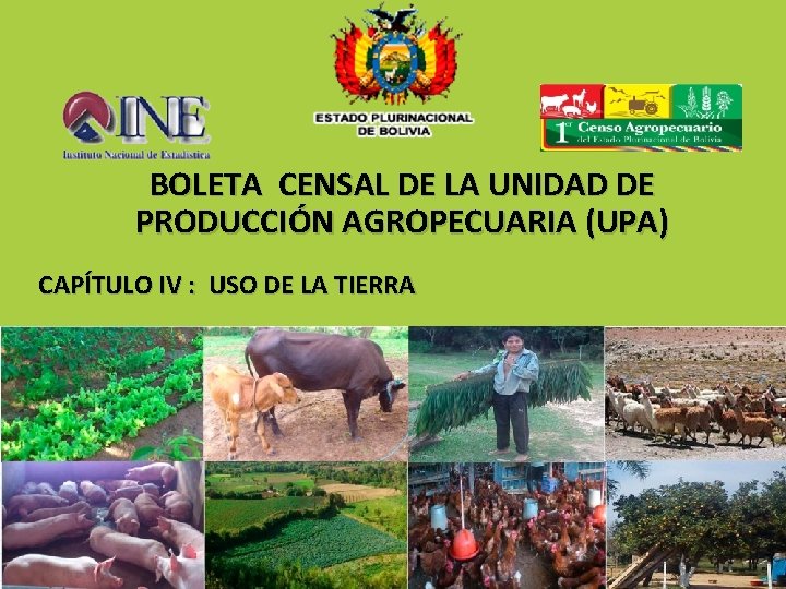 BOLETA CENSAL DE LA UNIDAD DE PRODUCCIÓN AGROPECUARIA (UPA) CAPÍTULO IV : USO DE