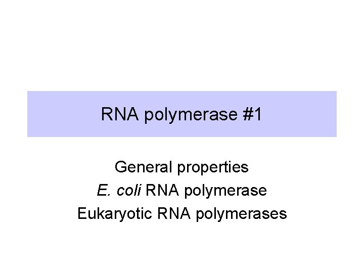 RNA polymerase #1 General properties E. coli RNA polymerase Eukaryotic RNA polymerases 