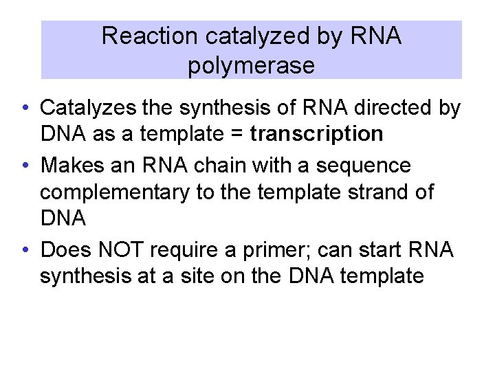 Reaction catalyzed by RNA polymerase • Catalyzes the synthesis of RNA directed by DNA
