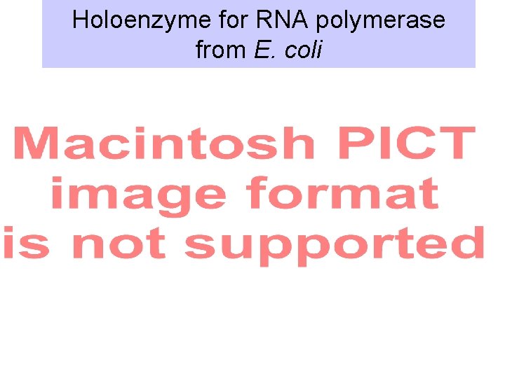 Holoenzyme for RNA polymerase from E. coli 