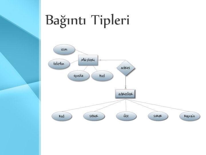 Bağıntı Tipleri Bağıntı Tipleri