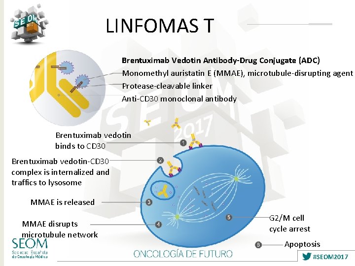 LINFOMAS T Brentuximab Vedotin Antibody-Drug Conjugate (ADC) Monomethyl auristatin E (MMAE), microtubule-disrupting agent Protease-cleavable