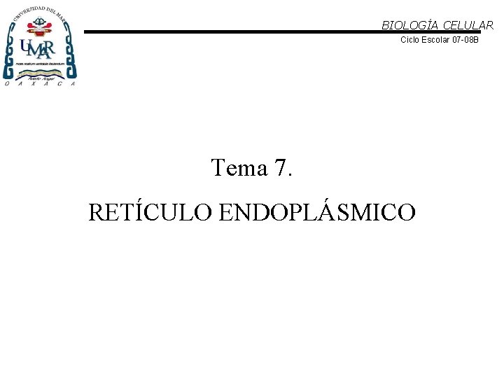 BIOLOGÍA CELULAR Ciclo Escolar 07 -08 B Tema 7. RETÍCULO ENDOPLÁSMICO 