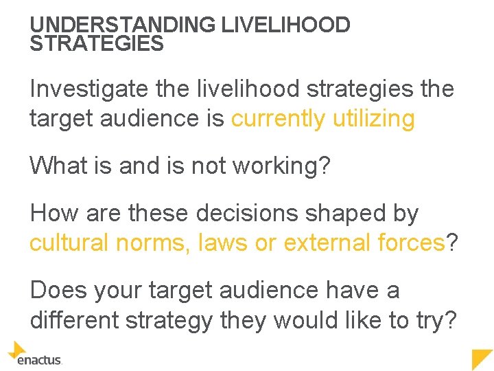 UNDERSTANDING LIVELIHOOD STRATEGIES Investigate the livelihood strategies the target audience is currently utilizing What