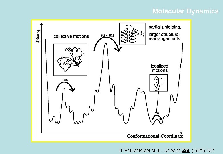 Molecular Dynamics H. Frauenfelder et al. , Science 229 (1985) 337 