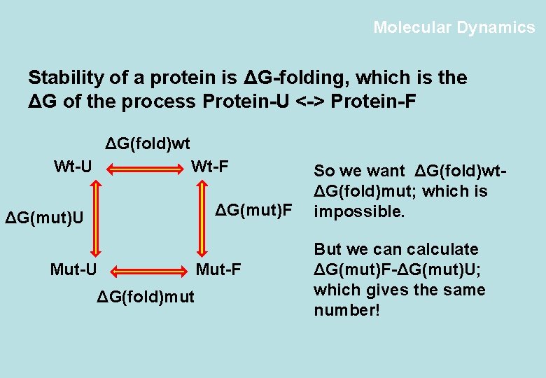 Molecular Dynamics Stability of a protein is ΔG-folding, which is the ΔG of the