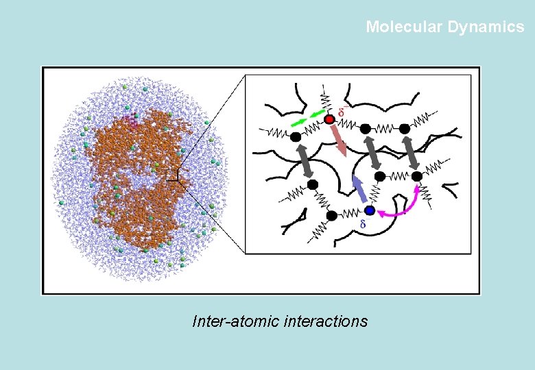 Molecular Dynamics Inter-atomic interactions 